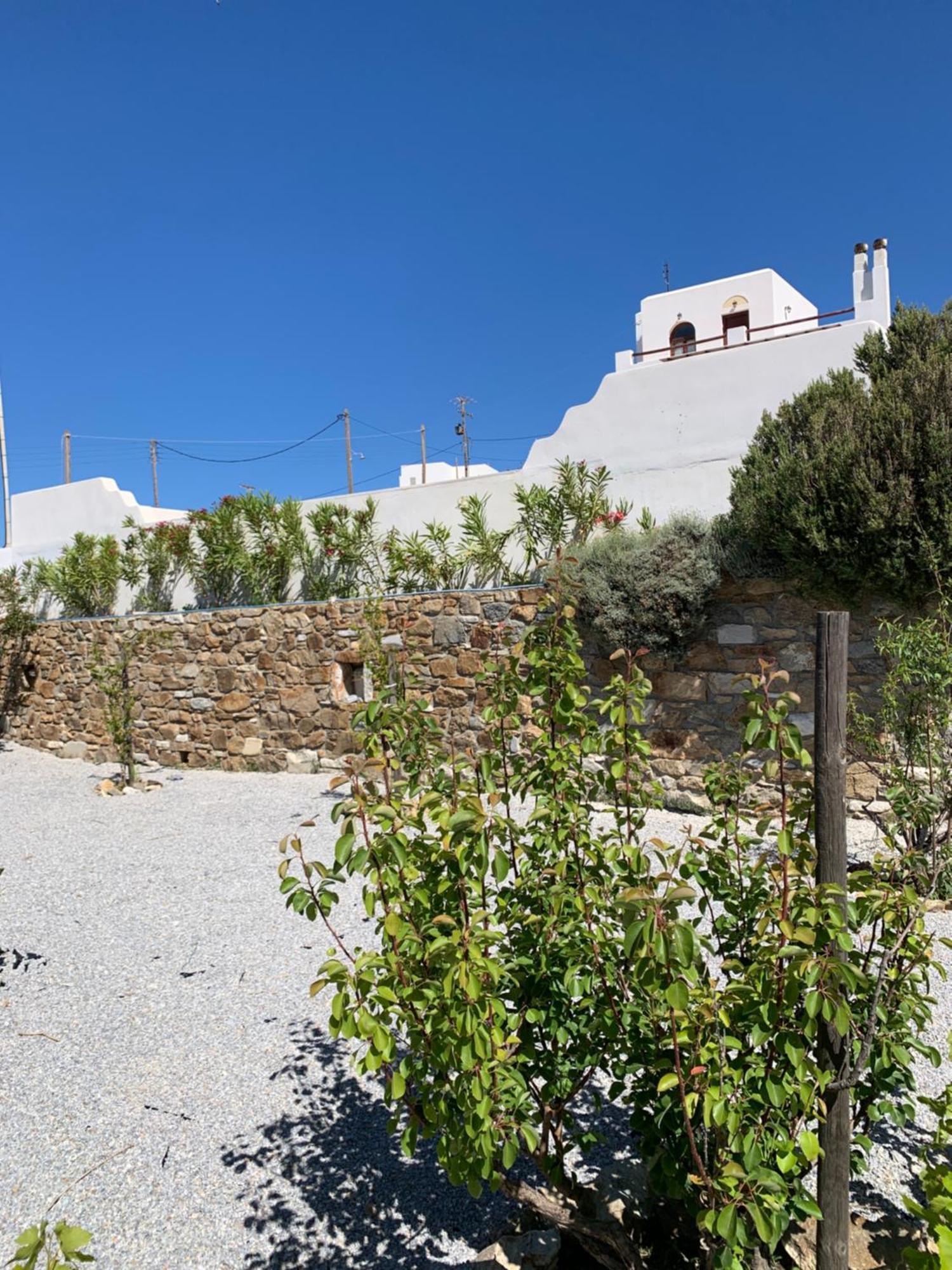 Villa Of Roses In Naxos - Private Villa With Pool Naxos City Zewnętrze zdjęcie